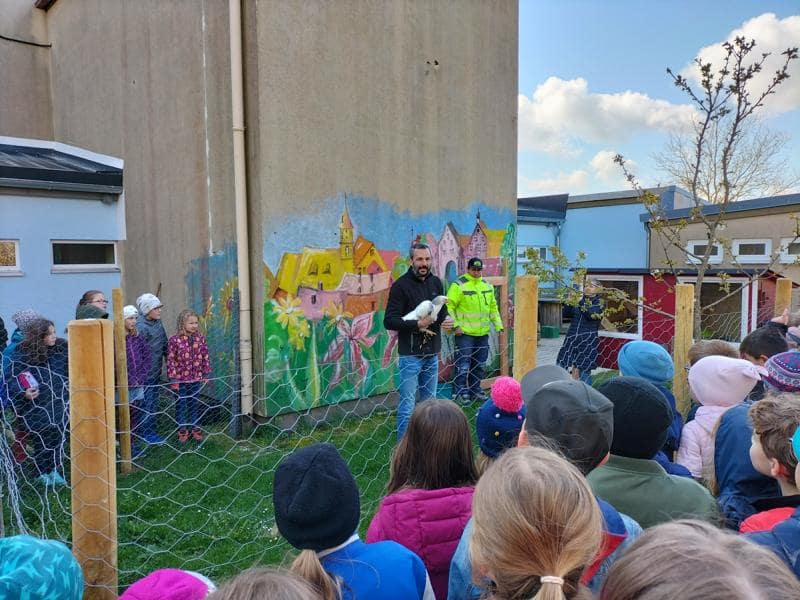 Kinder lernen Hühner kennen