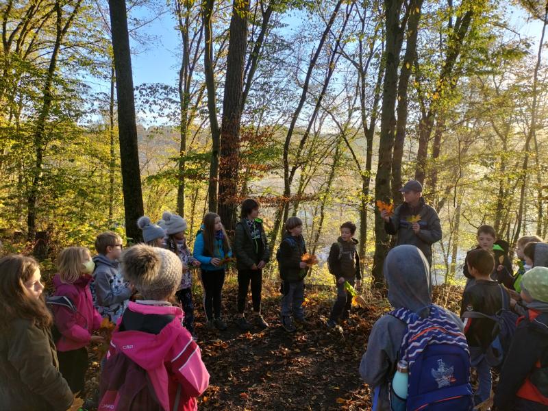 Kinder im Wald